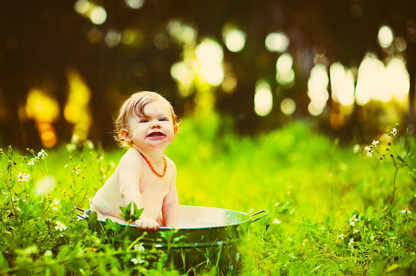 Baby in a metal tub surrounded by wildflowers during golden hour in Sarasota