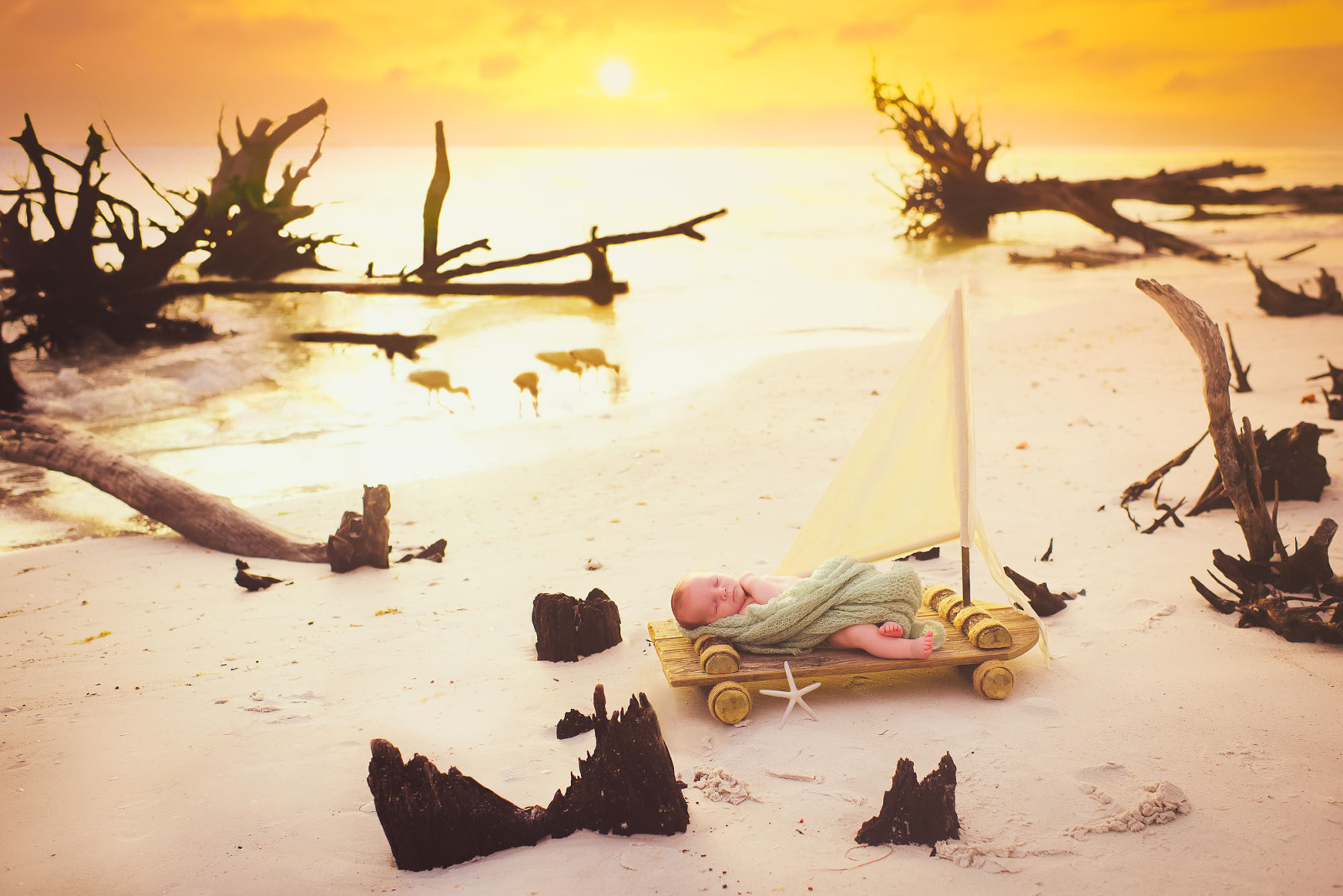 Newborn baby on miniature sailboat surrounded by driftwood at Sarasota beach
