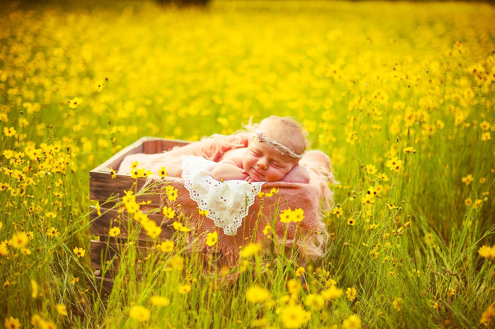 Newborn baby sleeping in a wooden box in a lush wildflower field, wrapped in soft pink layers and lace