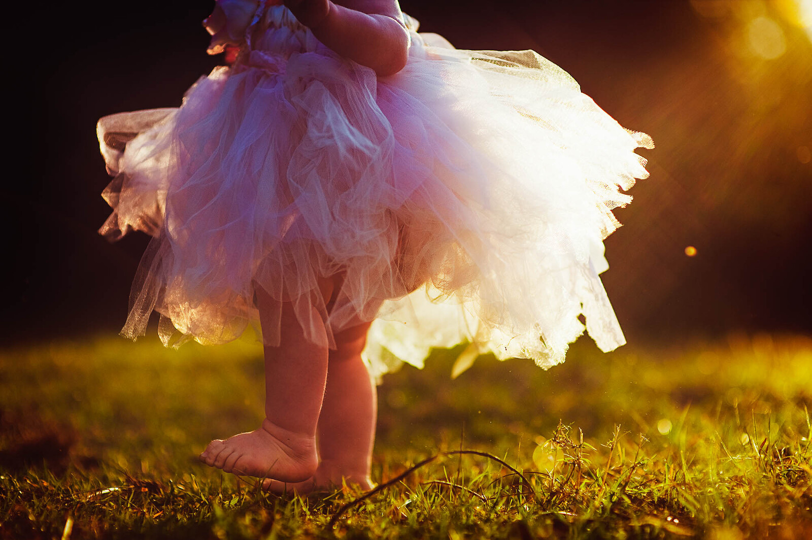 Toddler in a tutu standing in golden sunlight during a Sarasota golden hour photography session